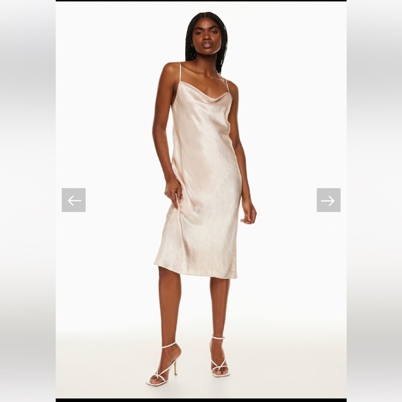 Aritzia Babaton Model Satin Pink Satin Slip Dress - Picture 3 of 14